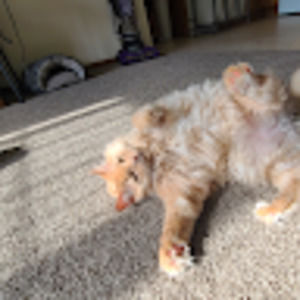 Meet your Posher, Christian